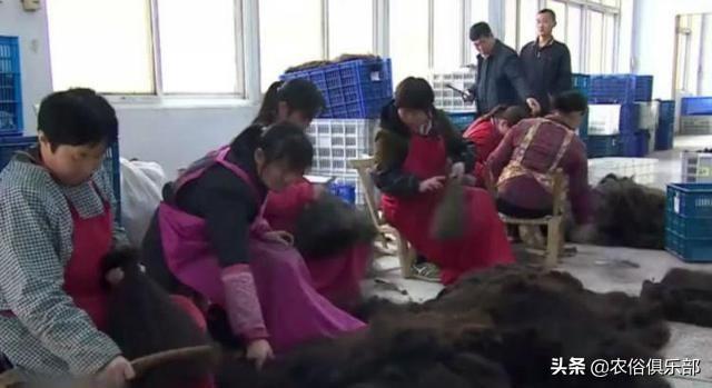 最新长发出售信息揭秘,时尚潮流的长发风采✨