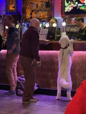 明星酒吧,明星酒吧,时代的璀璨星辰与夜色中的旋律