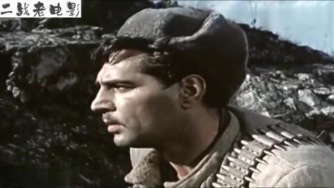苏联二战电影大全,苏联二战电影大全,一段关于友情与陪伴的温馨旅程