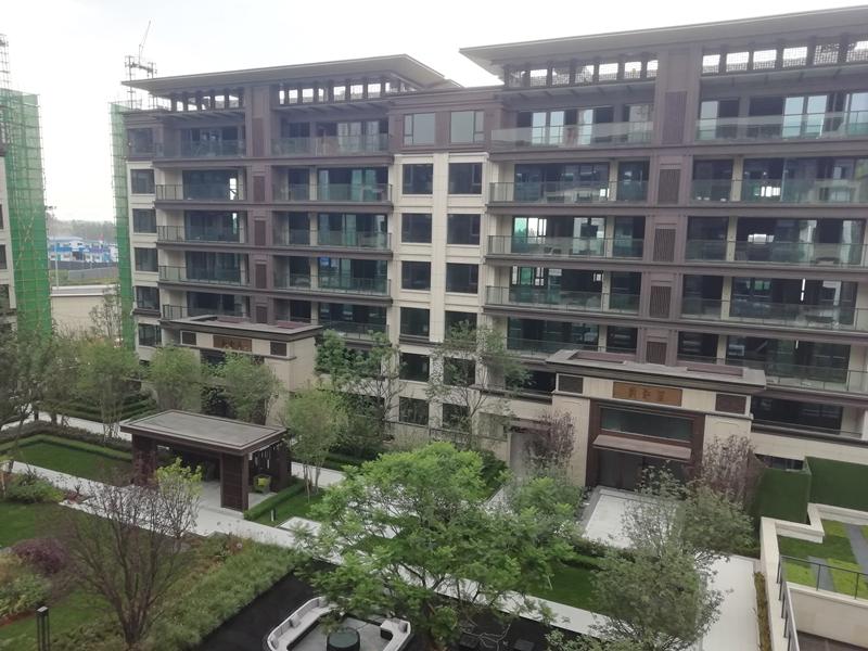 成都楼市最新资讯,成都楼市最新资讯🏠📢