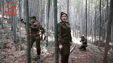 最新谍战,最新谍战,揭秘、分析与展望