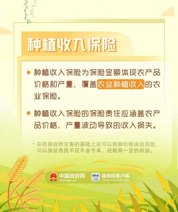 农田最新险种，护航农业，共筑乡村繁荣保障之路