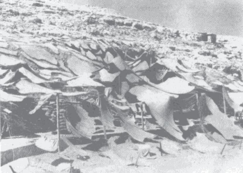 新西兰近期治安状况分析与论述