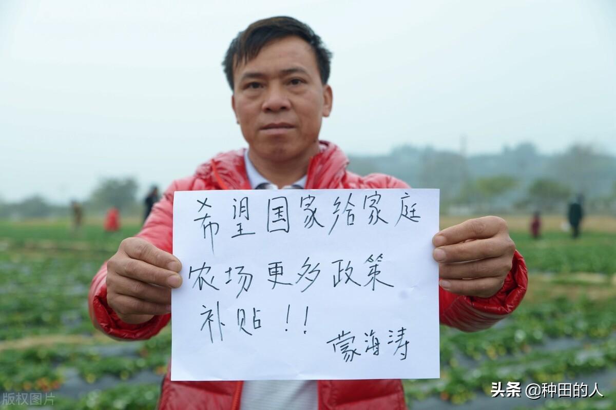 最新危房信息解读,识别与处理步骤指南