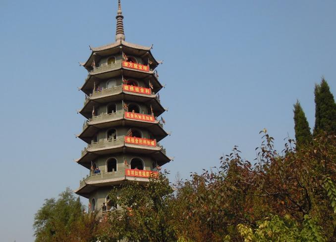 旅游观光车价格揭秘，背后的故事与情感纽带探索