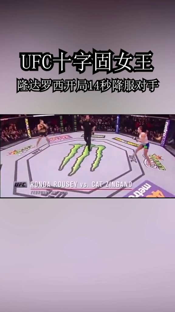 隆达罗西最新动态揭秘，职业摔跤手的荣耀之旅