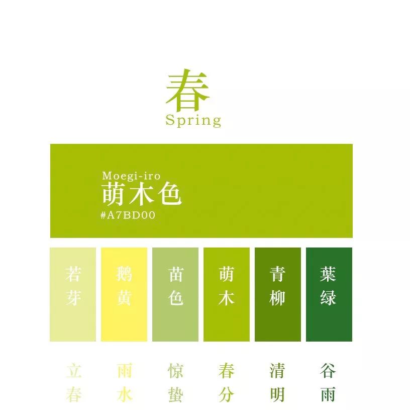 大董新品深度解析,独特魅力与潜在价值探索