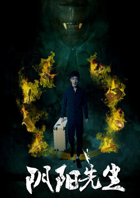 阴阳先生电视剧,神秘与现实交织的解读