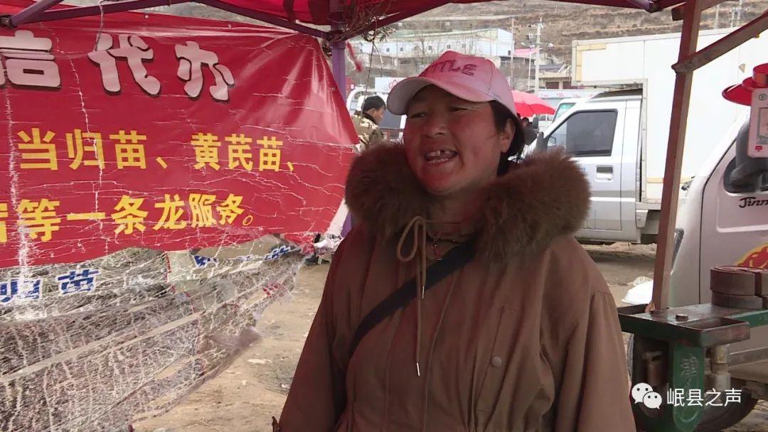 中药材种植上市公司行业概览与未来发展趋势分析