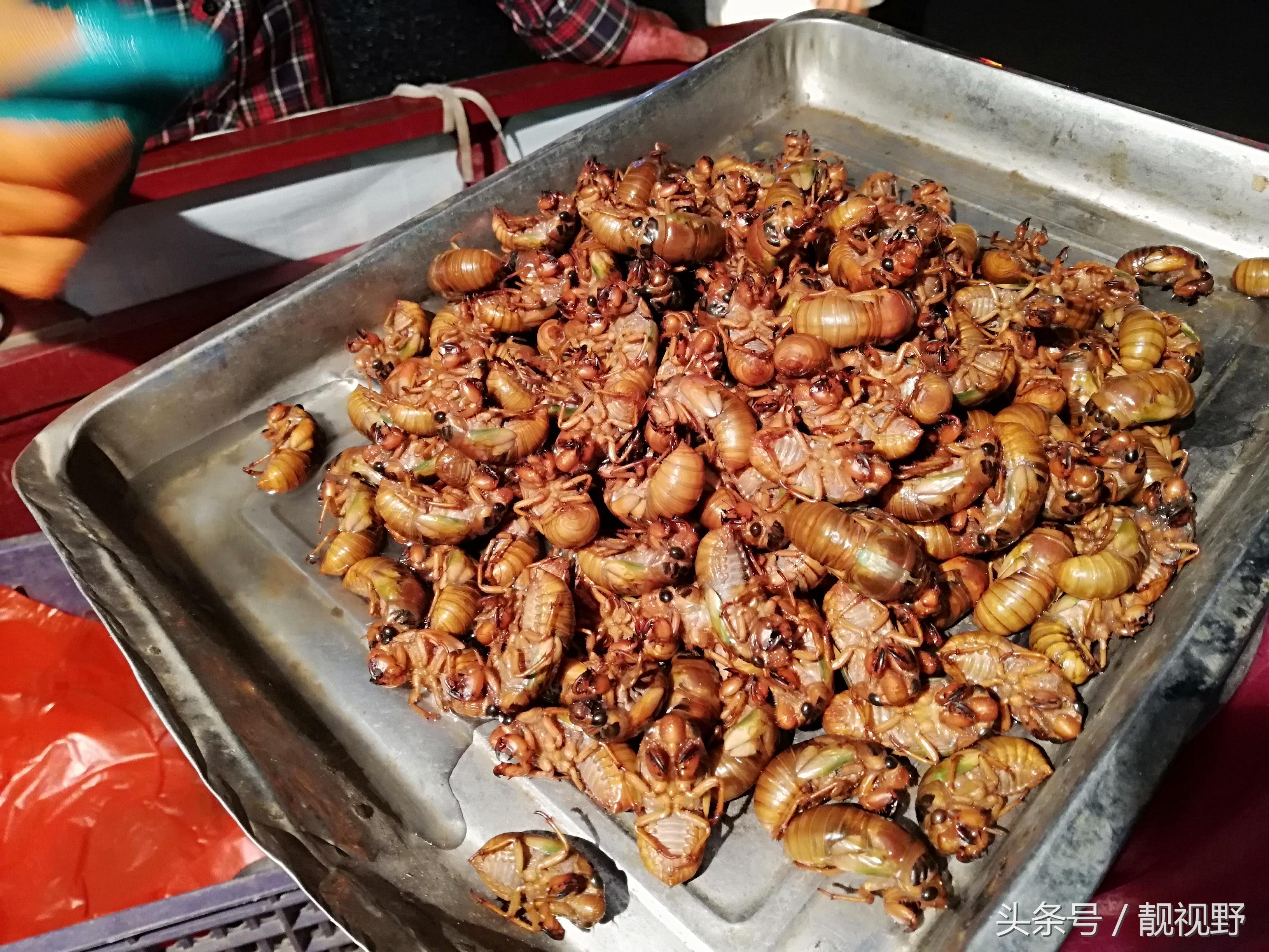 中药材种植上市公司行业概览与未来发展趋势分析