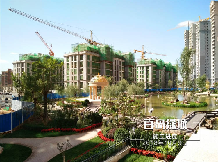 百岛绿城三期最新进展揭秘，项目更新详解与跟进步骤指南