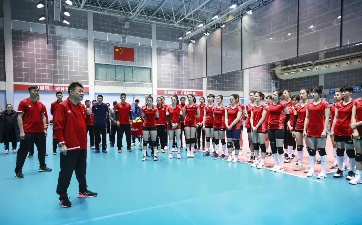 江苏女排最新阵容名单全面解析,深入了解你的队伍