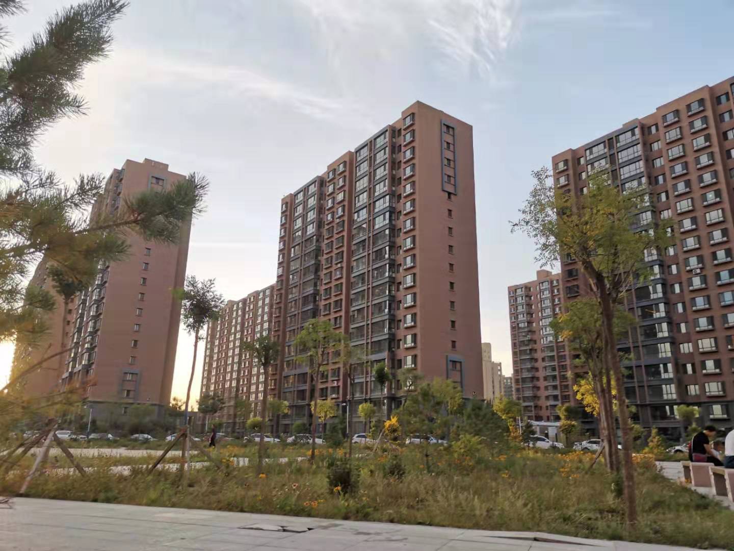 桐柏最新房产资讯揭秘,探索未来房地产市场的动态与发展趋势