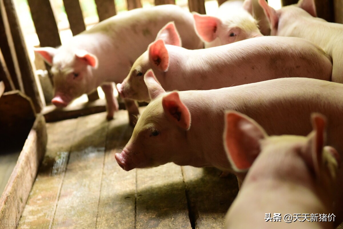 服务案例 第148页