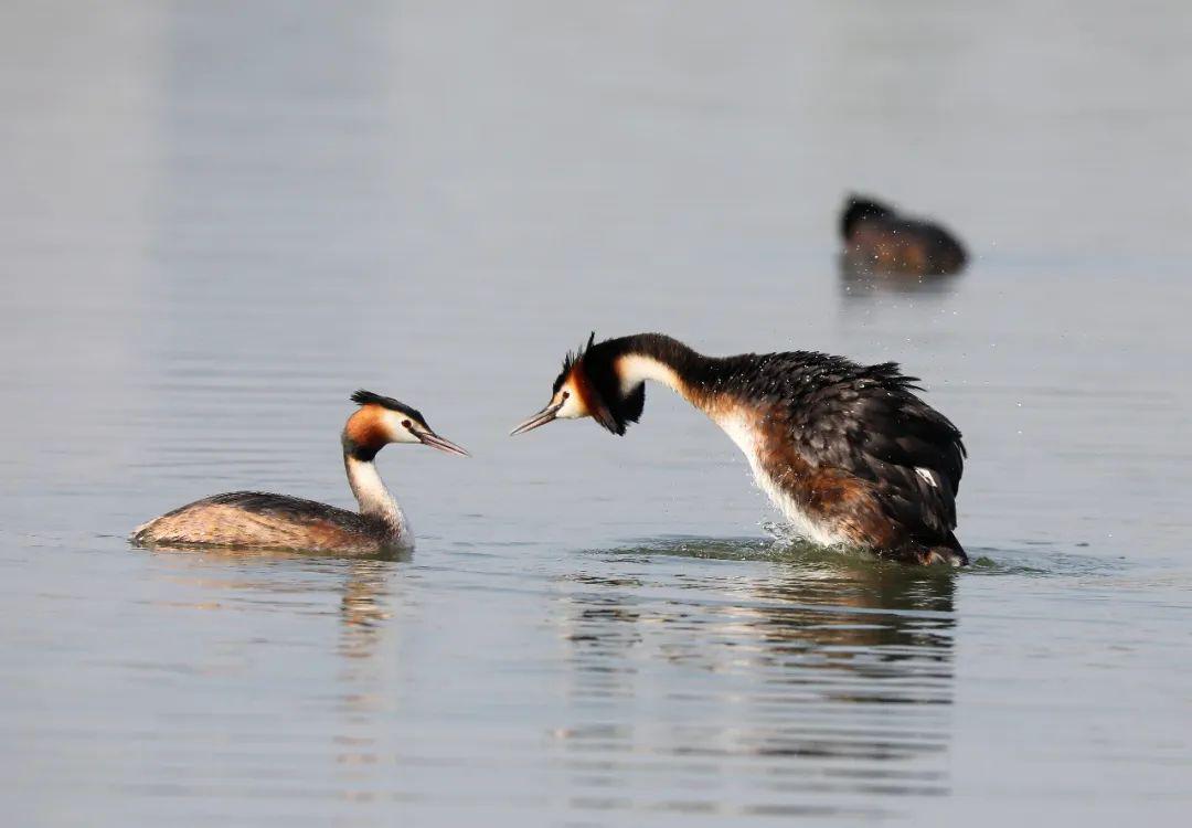 服务项目 第156页