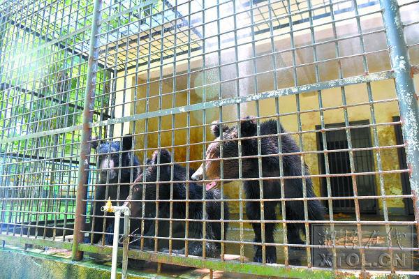 水禽日报最新动态,变化带来的自信与成就感,展翅高飞启航新征程!