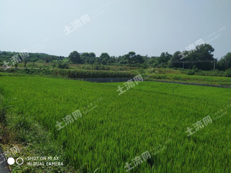 荆门农田房产出售,投资与机遇的理想交汇点