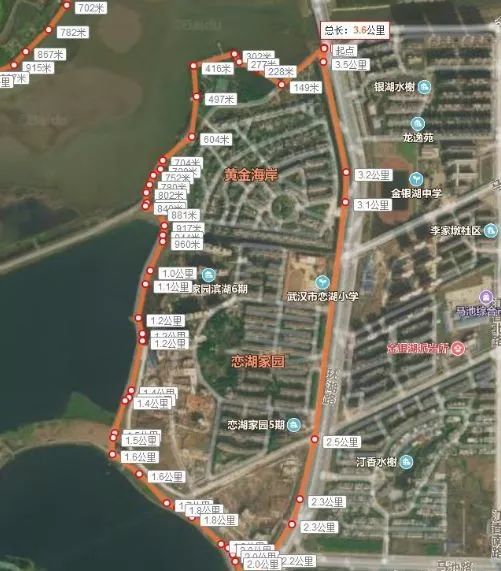 武汉东西湖最新动态,活力之源与自信成就感的交织变化