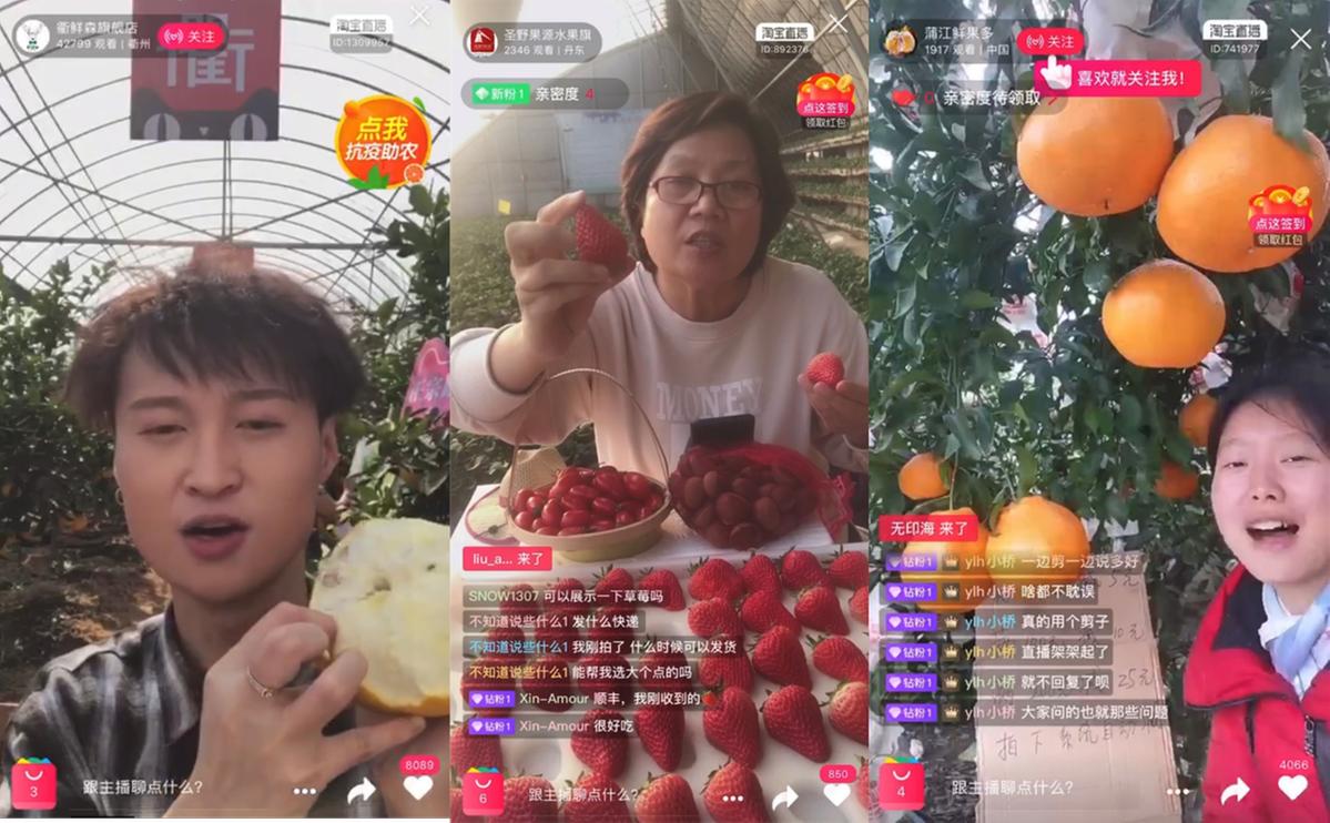 淘宝政策最新调整，探索自然美景之旅，寻找内心平和的启程