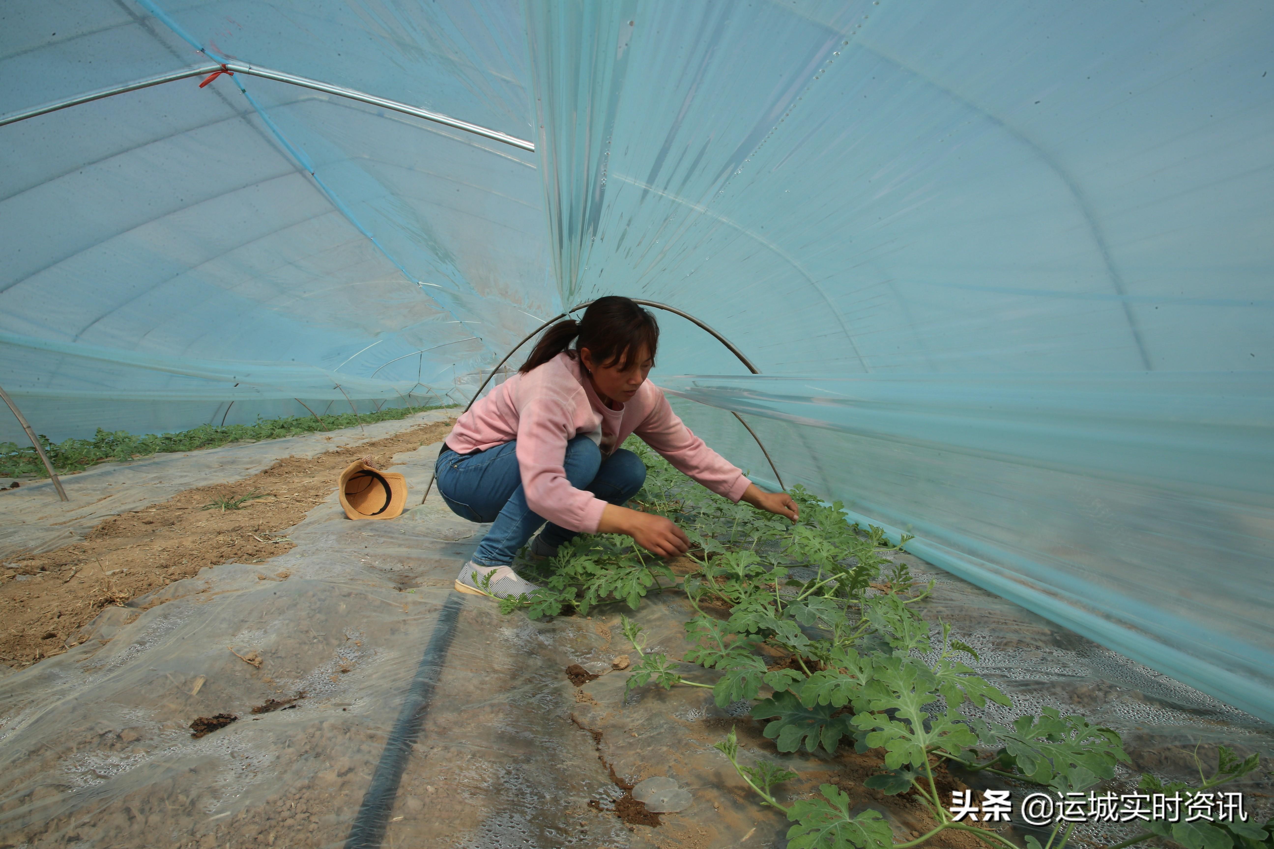 夏县最新资讯深度解析