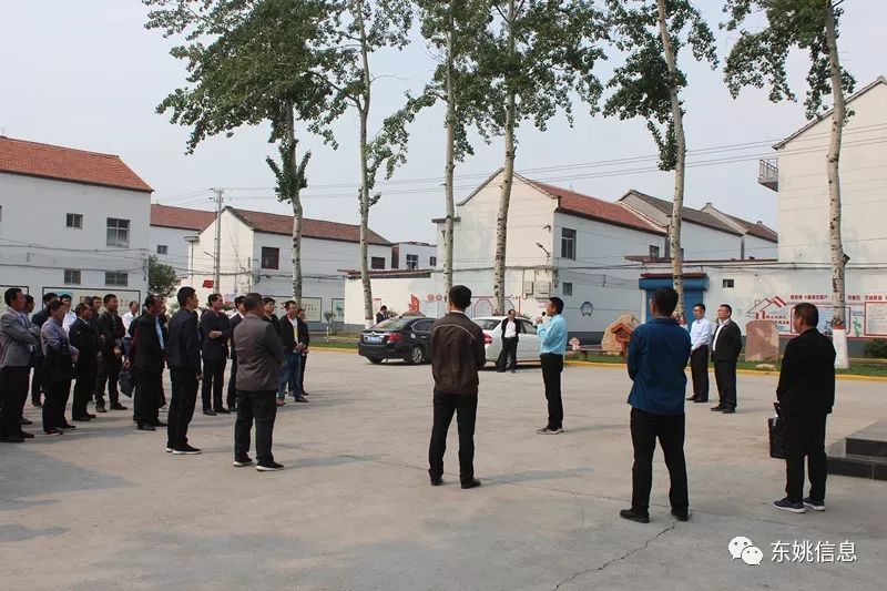 东姚镇最新任务指南,完成某项任务或学习新技能的指南与教程