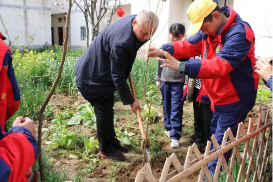 王家坝新动态，科技重塑生活，智能引领未来创新潮流
