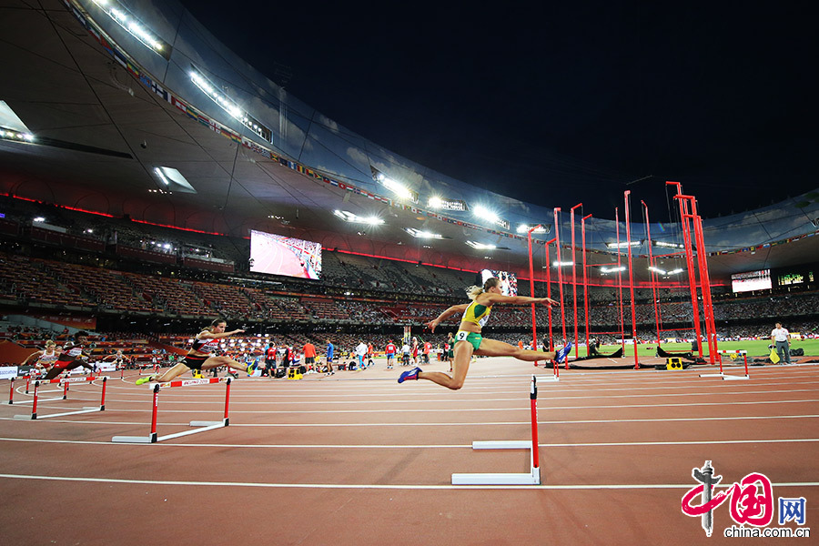 鸟巢比赛项目，小巷深处的独特盛宴揭秘