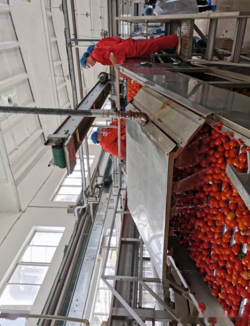 长丰县合水路最新进展，前行之路，成就梦想之路