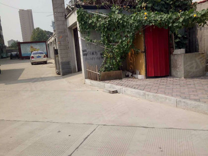 琥珀庄园最新动态,学习变化,自信成就未来未来展望