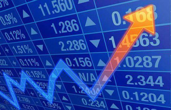 员工股票激励,点燃事业与财富梦想,共创辉煌🚀