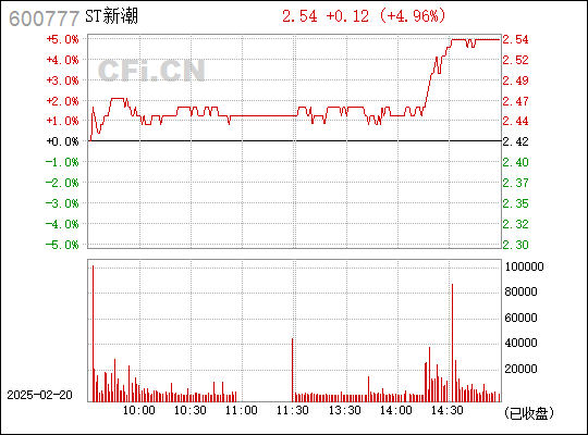 深度解析,投资者关注要点与600777新潮能源股票