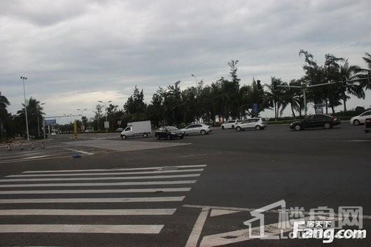 乐东滨海大道，励志之旅，成就梦想之路最新动态