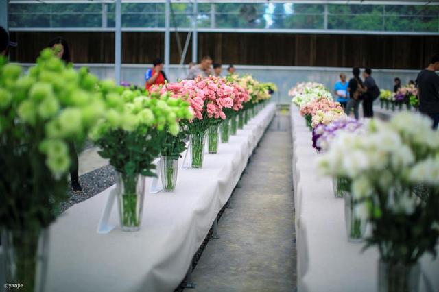 服务案例 第141页