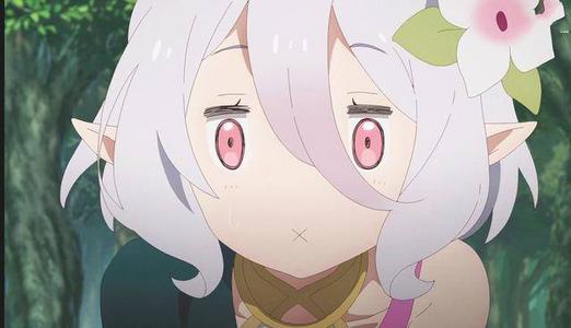 可可萝新动态揭秘,未来趋势与热点话题探索