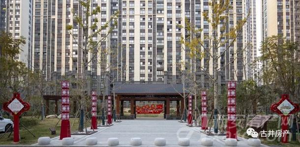 古井上善名郡最新动态，变化中的力量与自信成就展望