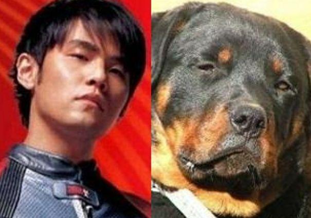 探究明星脸型之美,脸长明星的魅力展现