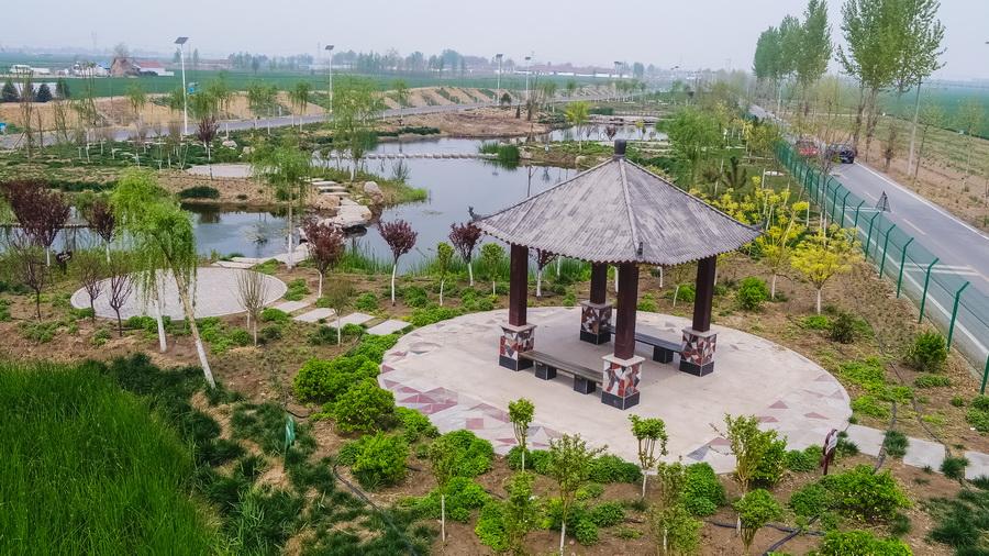 山东环保厅最新动态揭秘,启程探索自然美景,追寻内心宁静平和之旅