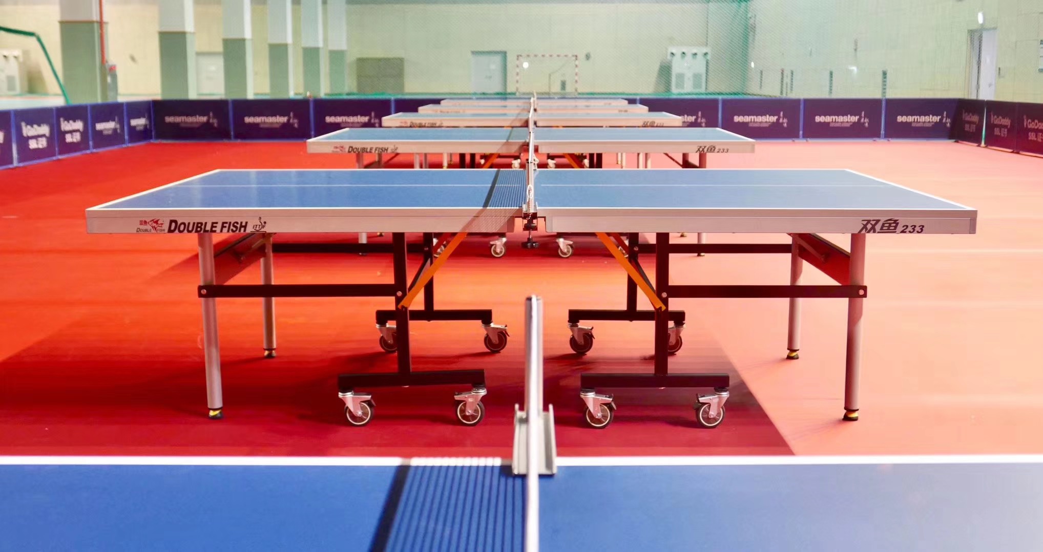 双鱼乒乓球桌价格解析,市场趋势与选购指南全解析