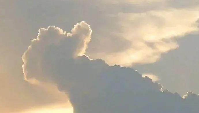 服务案例 第137页