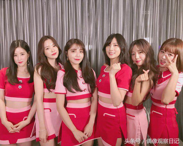 Apink最新综艺节目，偶像团体的综艺之旅探寻