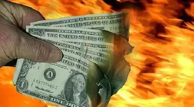 美元最新动态更新报告，揭秘最新动态趋势