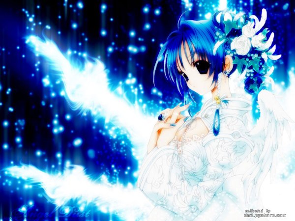 动漫个性签名与科技新品，引领潮流，改变生活