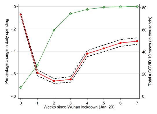 最新疫情动态图分析与概述
