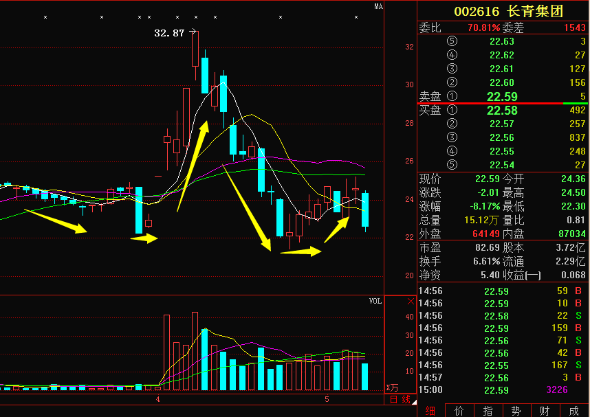 长青集团股票行情，市场走势与股市中的温情纽带解析