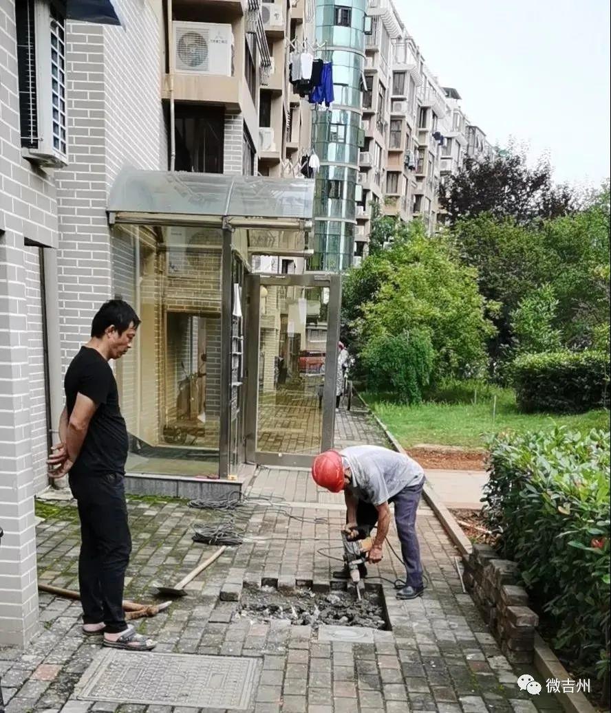 电梯安装验收规范新版解析，小红书科普文带你走进新标准的世界