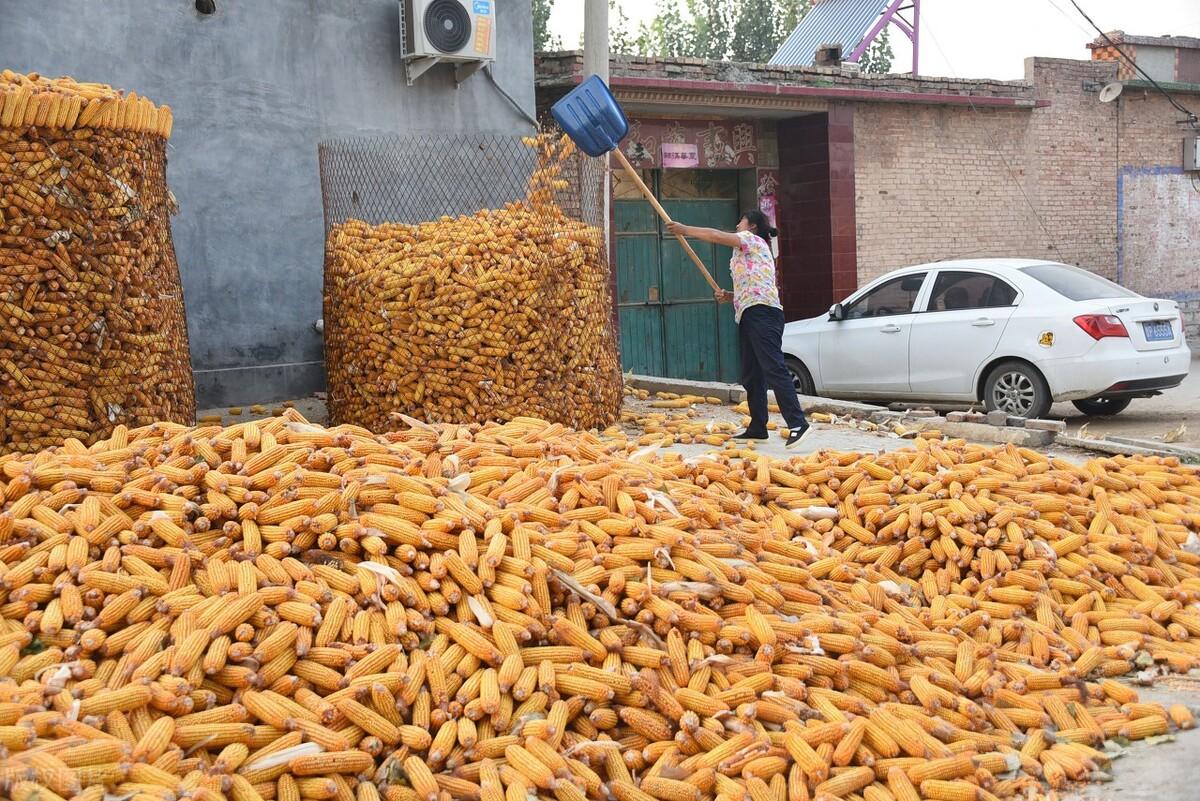 博兴香驰最新招聘资讯闪亮发布!