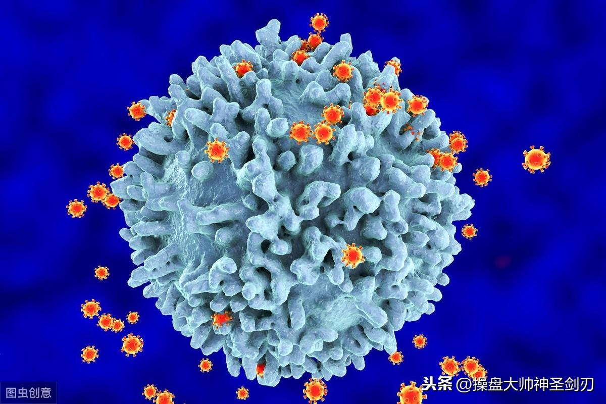 王春燕,从舞台到荧屏的蜕变,自信与成就的力量之源