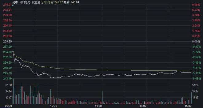 中国股市概览,股票数量与科技重塑投资体验