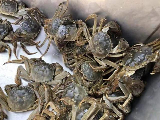 服务案例 第132页