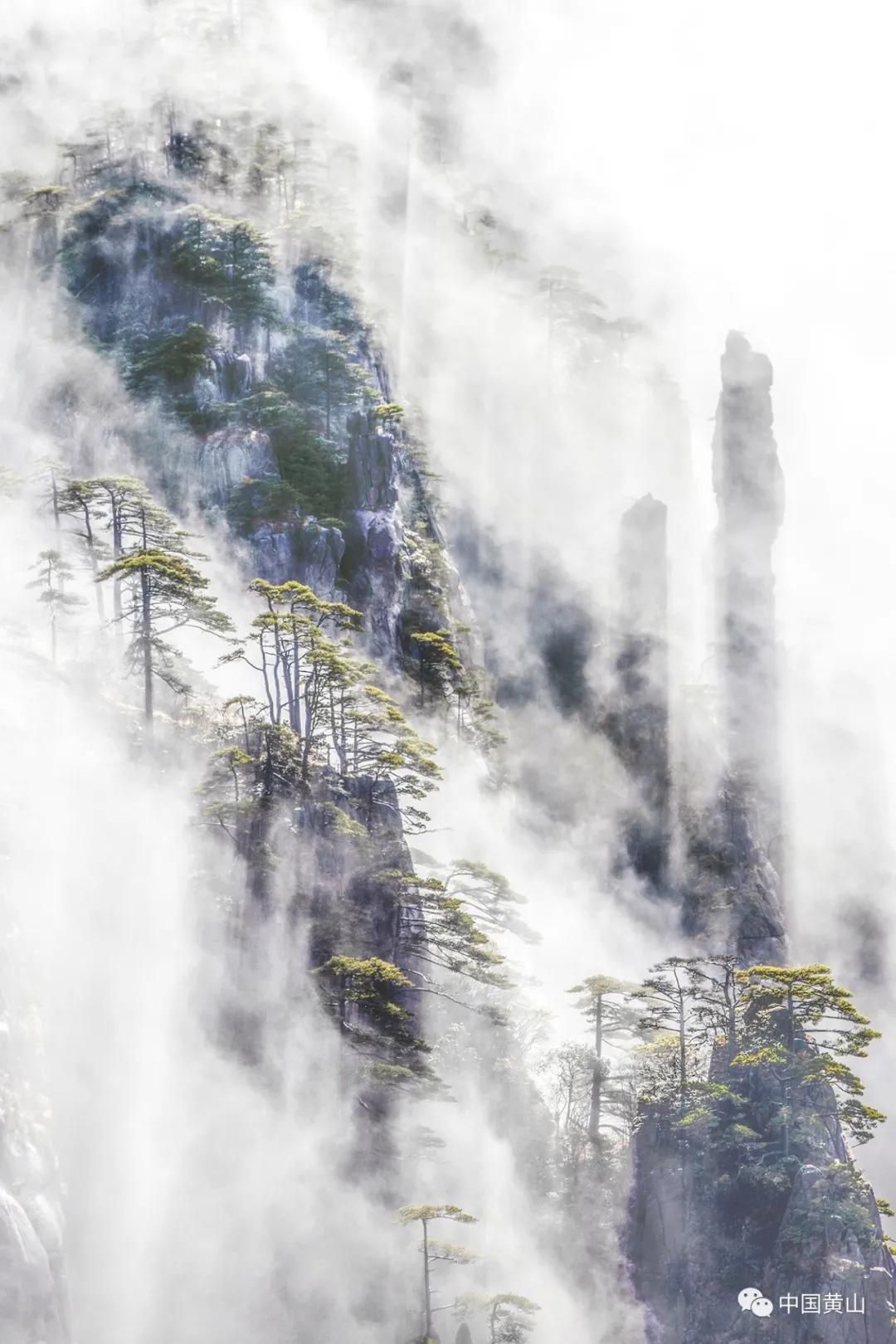 全新长风之歌深度赏析